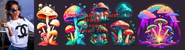 бошки Арсеньев