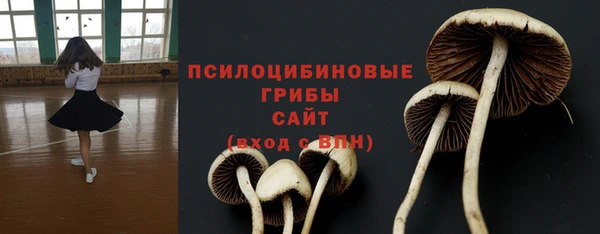 бошки Арсеньев