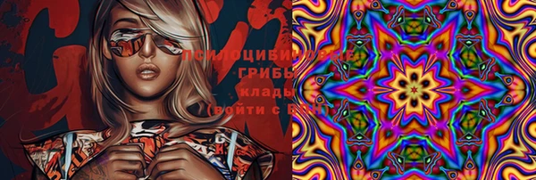 спайс Аркадак