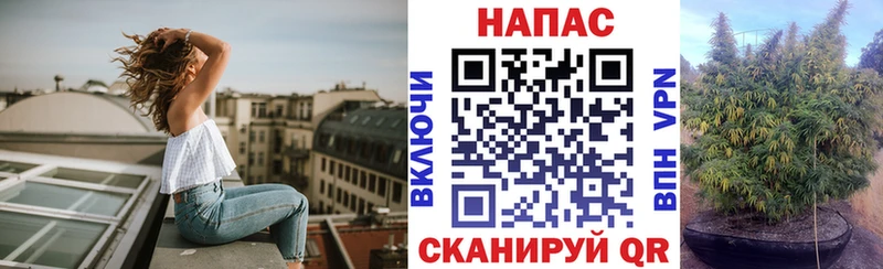 Канабис Amnesia  купить наркотики цена  Лангепас 